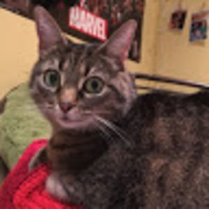 Meet your Posher, Grace